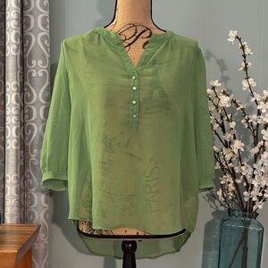 Umgee Sheer Pintuck Blouse